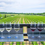 Wine tasting at Flat Rock Cellars winery in Niagara, with Visa Infinite benefits