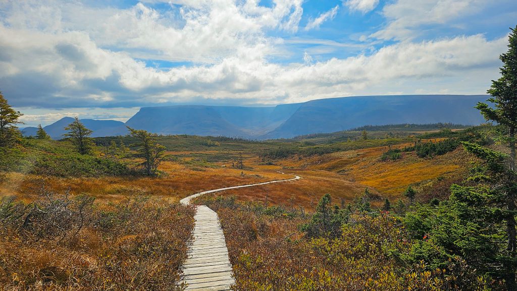 gros morne national park newfoundland lookout trail Gros Morne national park newfoundland Cherry Hill