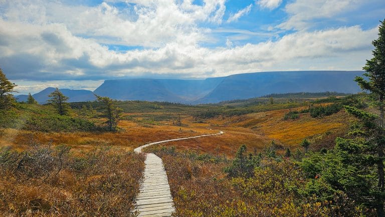 Gros Morne national park newfoundland Cherry Hill