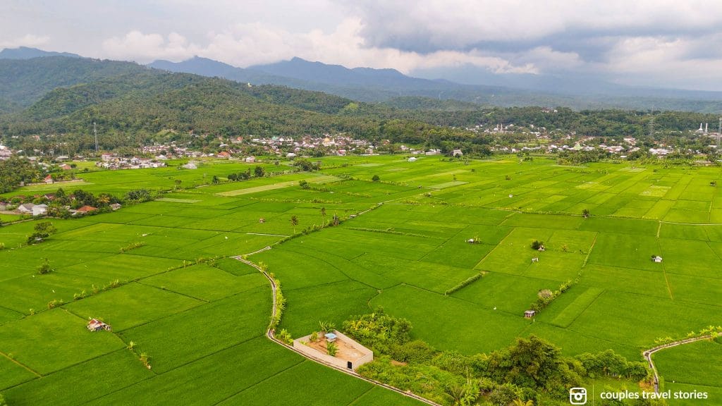 Green rice fields of Tetebatu, Lombok, Indonesia